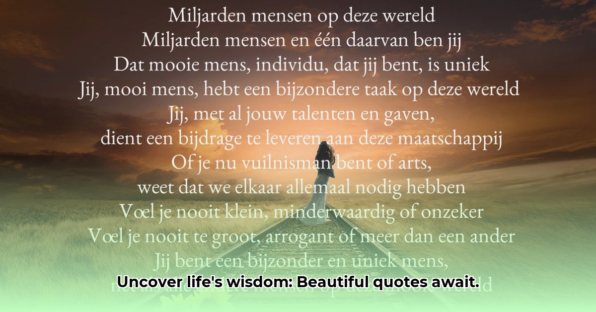 mooie-quotes-over-het-leven